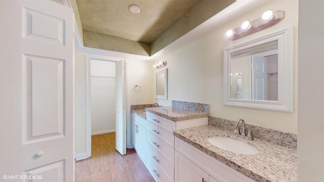 bathroom with wood finished floors, vanity, baseboards, and a spacious closet