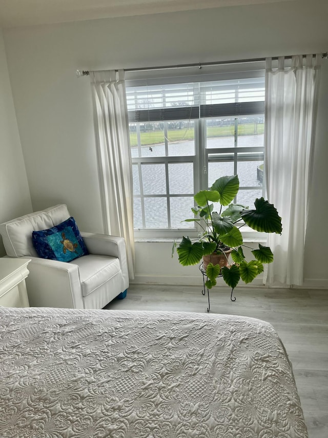 bedroom featuring light wood-type flooring