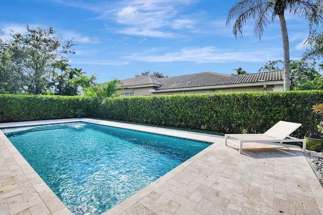 view of pool featuring a patio area