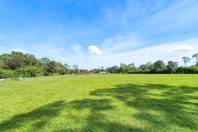 view of yard with a rural view