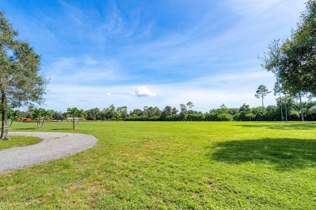 view of community featuring a yard