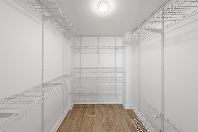 walk in closet featuring wood-type flooring