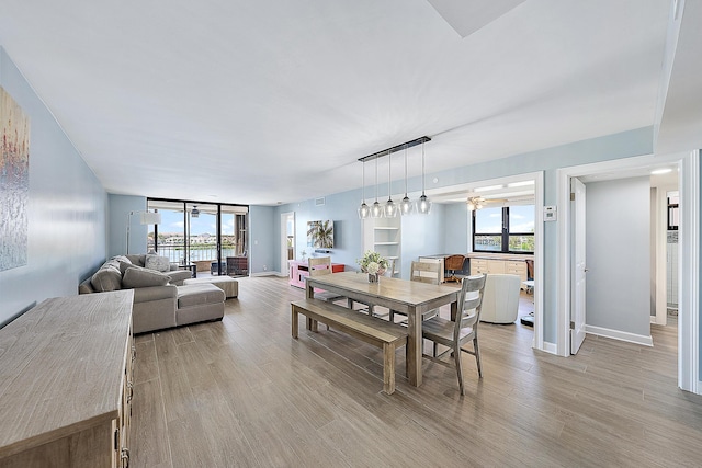 dining area with ceiling fan and light hardwood / wood-style flooring