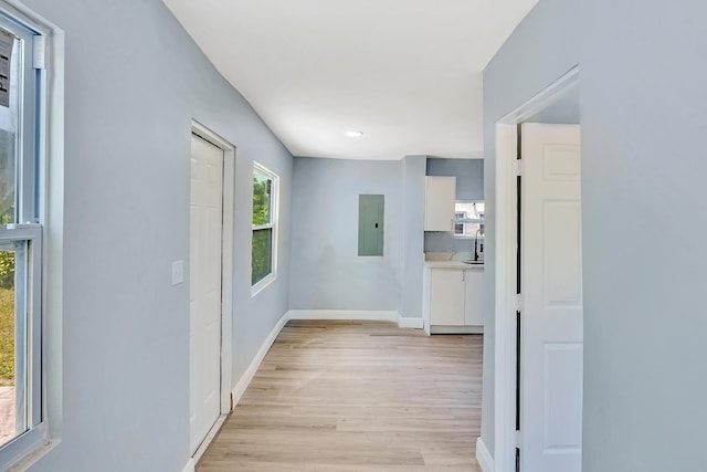 corridor featuring electric panel, light hardwood / wood-style flooring, and sink