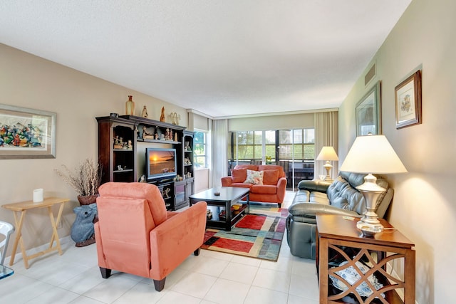 living room featuring a textured ceiling