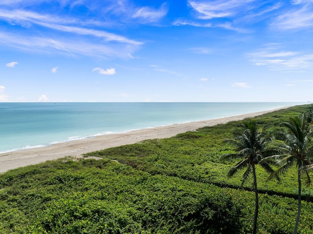 property view of water with a beach view