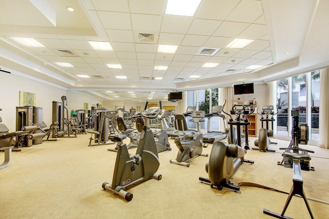 workout area featuring a paneled ceiling, light carpet, and a wealth of natural light