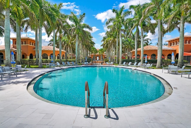 view of pool featuring a patio area