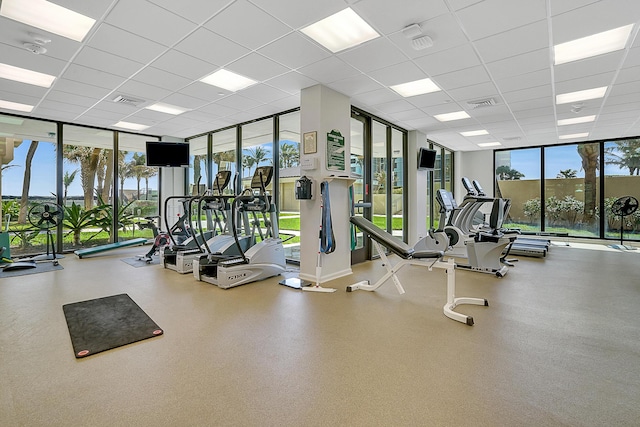 exercise room with a drop ceiling and a wall of windows