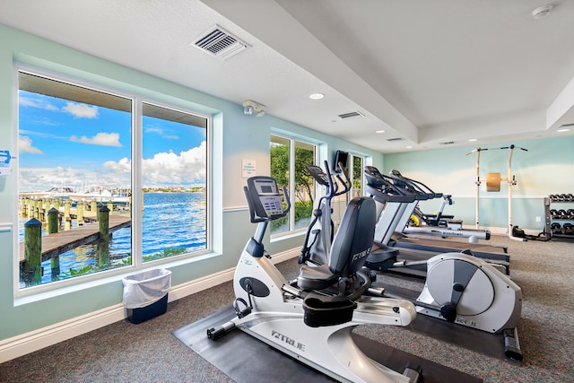 workout area with carpet floors