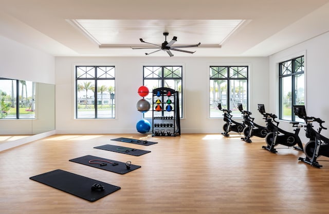 gym with ceiling fan, a healthy amount of sunlight, and light hardwood / wood-style flooring