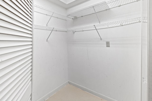 view of walk in closet