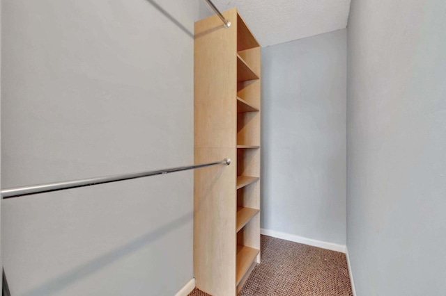 walk in closet with dark colored carpet