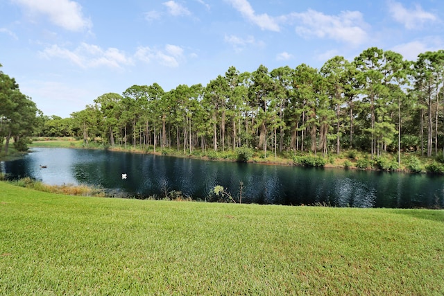 property view of water