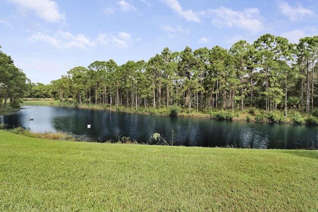 8100 Alister Pl, Port Saint Lucie, FL 34986 - water view with a heavily wooded area