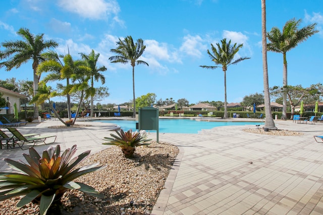 view of pool featuring a patio area