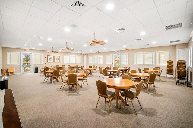 carpeted dining room with a drop ceiling, a wealth of natural light, and ceiling fan