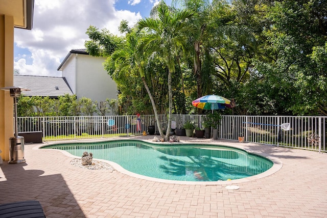 view of pool featuring a patio