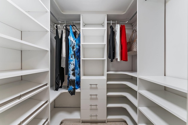 view of spacious closet