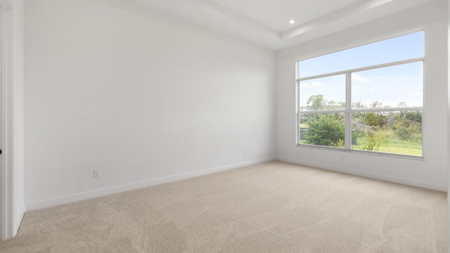 unfurnished room with light carpet