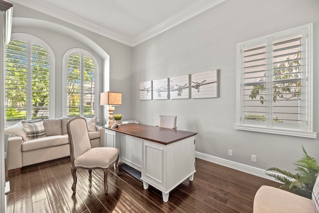 office space with ornamental molding and dark wood-type flooring