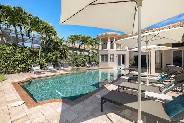 view of swimming pool featuring a patio