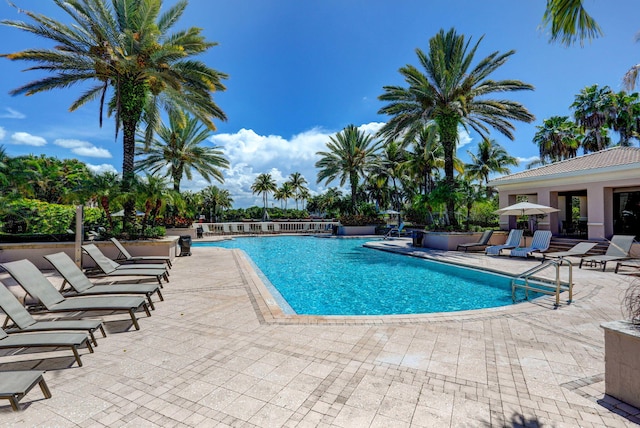 view of pool with a patio area