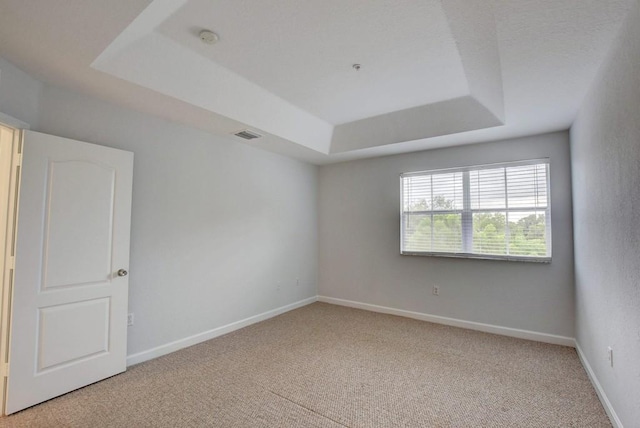 carpeted spare room featuring a raised ceiling