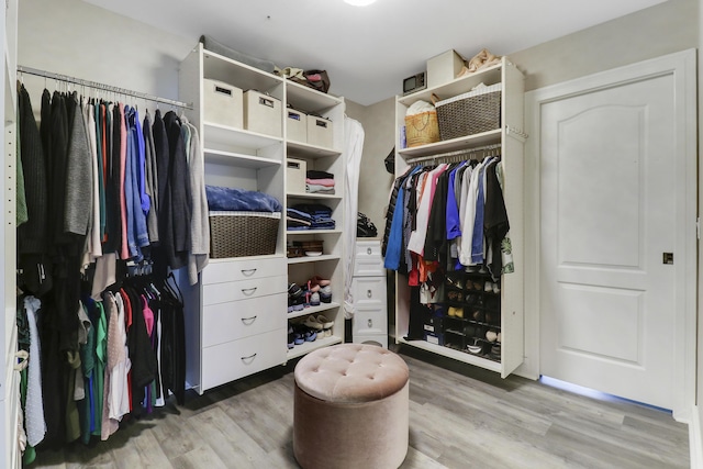 walk in closet featuring light wood-type flooring