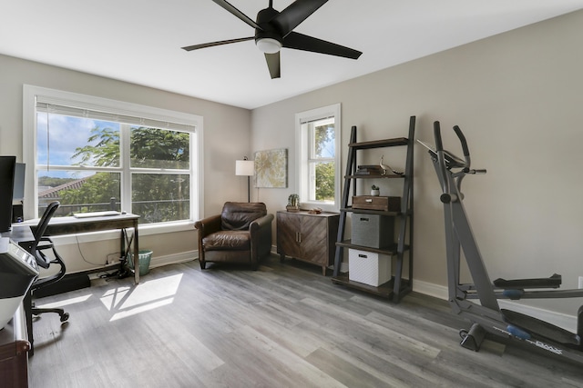 home office featuring light hardwood / wood-style flooring and ceiling fan