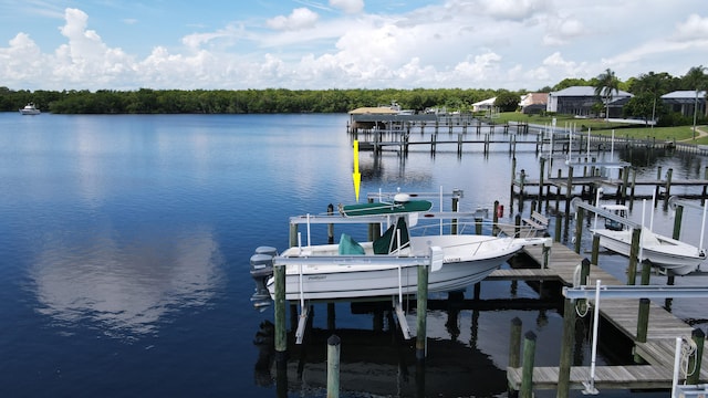 dock area featuring a water view