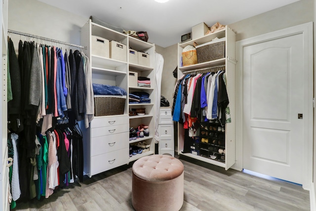 walk in closet with light wood-type flooring