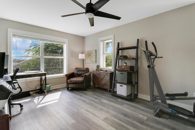 office with ceiling fan and light wood-type flooring