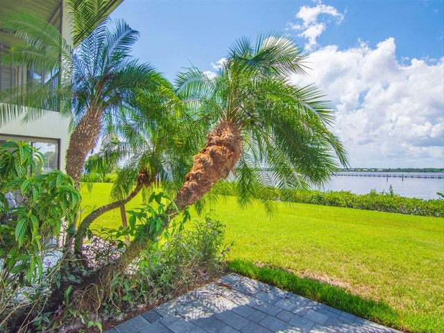 view of yard with a water view