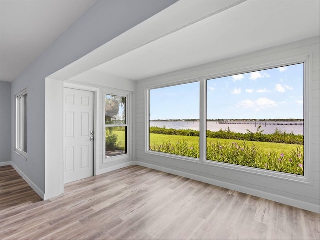 interior space featuring light wood-type flooring, a water view, and a healthy amount of sunlight