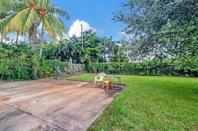 view of yard with a patio