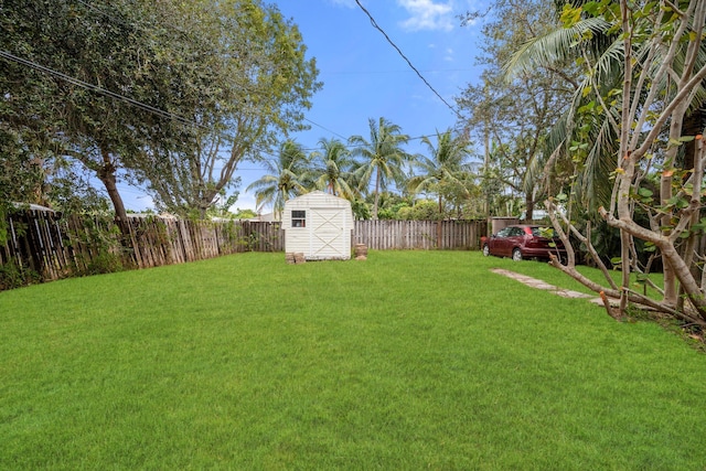 view of yard featuring a storage unit