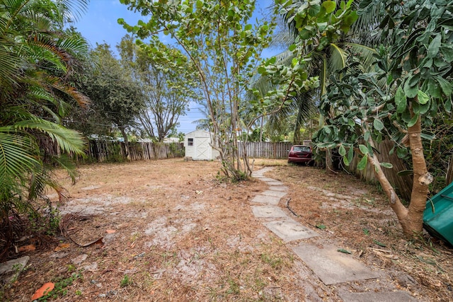 view of yard with a shed