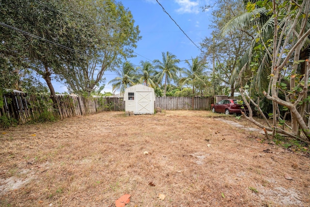 view of yard with a storage unit