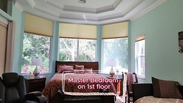 bedroom with a raised ceiling and crown molding