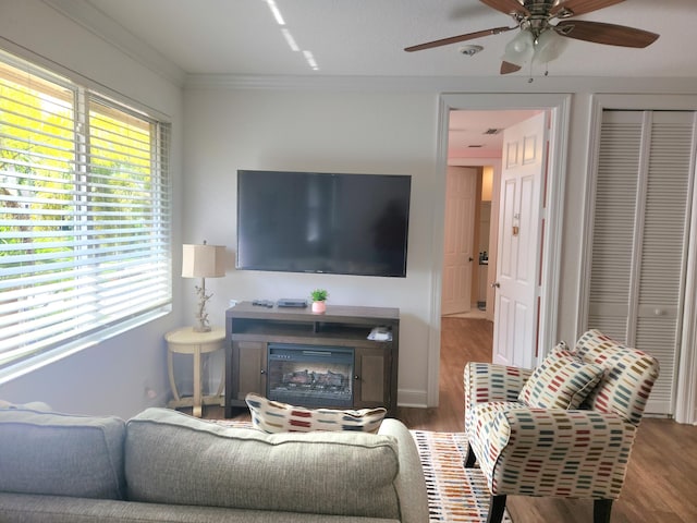 living room featuring ceiling fan, ornamental molding, and hardwood / wood-style flooring