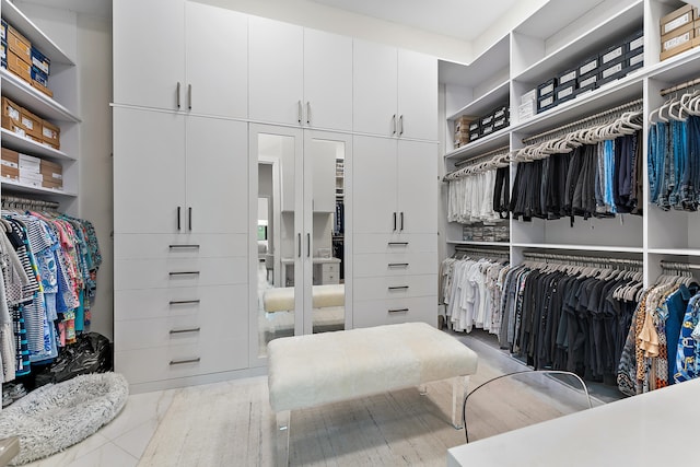 view of walk in closet