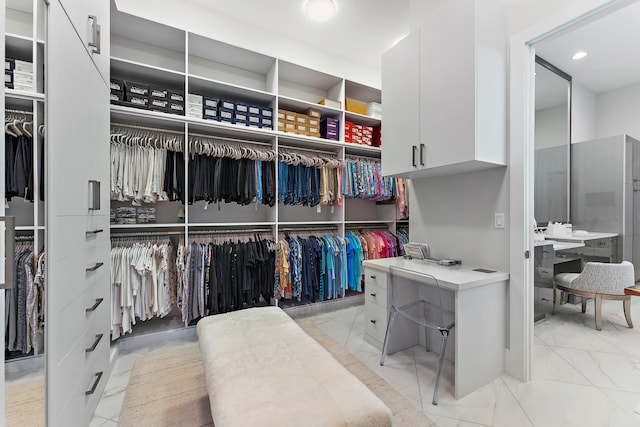 view of spacious closet