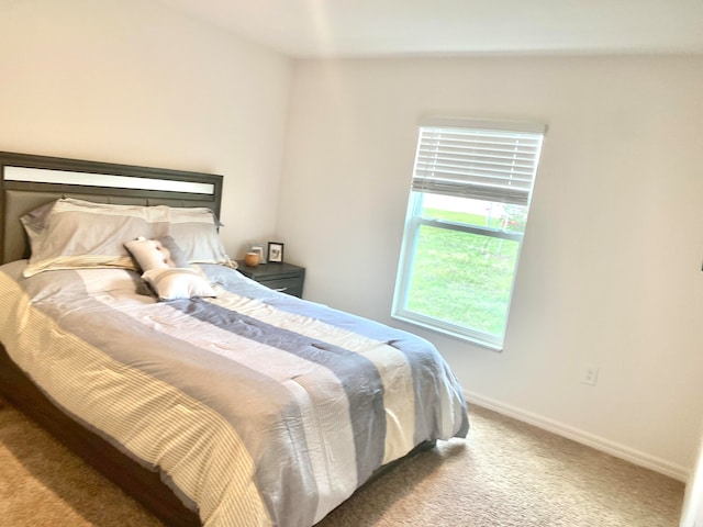 bedroom with carpet floors