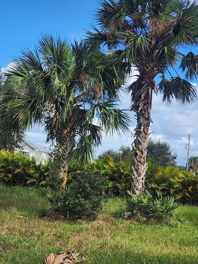 19833 NW 280th St, Okeechobee, FL 34972