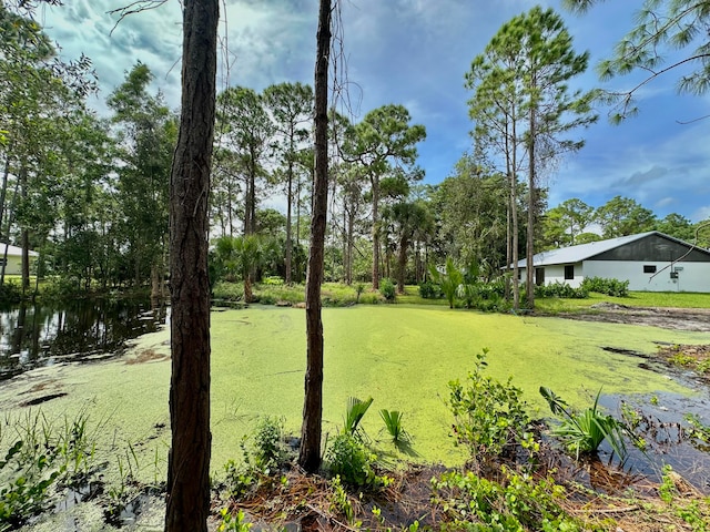 view of yard with a water view