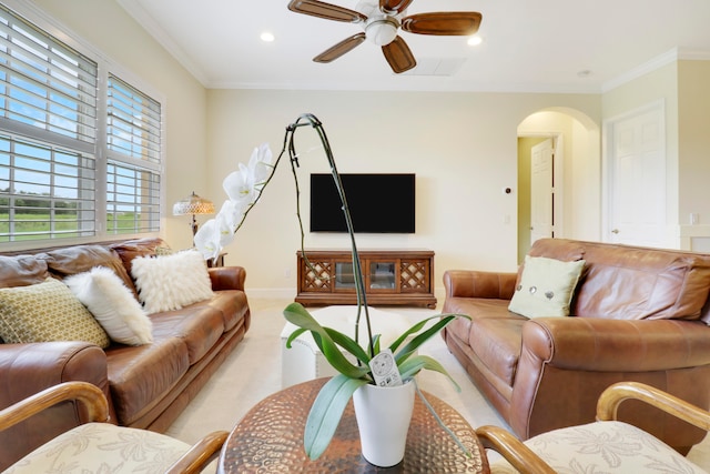 carpeted living room with ceiling fan and crown molding