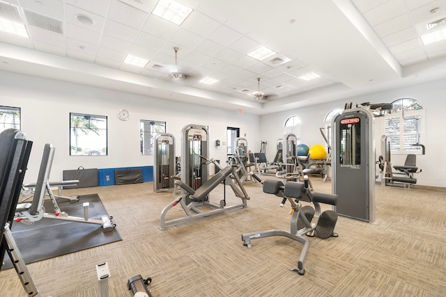 exercise room with a drop ceiling, a tray ceiling, ceiling fan, and light colored carpet