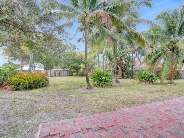 view of yard featuring a patio