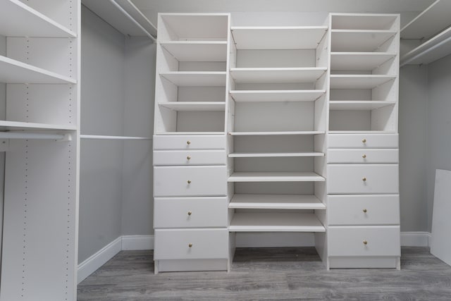 walk in closet featuring hardwood / wood-style floors